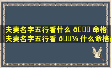 夫妻名字五行看什么 🍁 命格（夫妻名字五行看 🌼 什么命格最好）